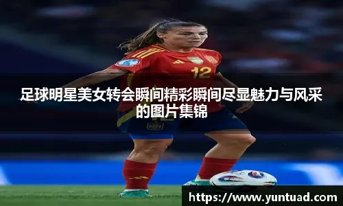 条就迅速